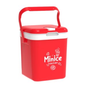 Thùng Đá Minice 2